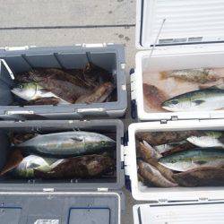 気仙沼 つり丸 釣果