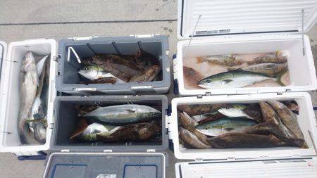 気仙沼 つり丸 釣果