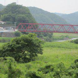 狩野川(狩野川漁業協同組合) 釣果