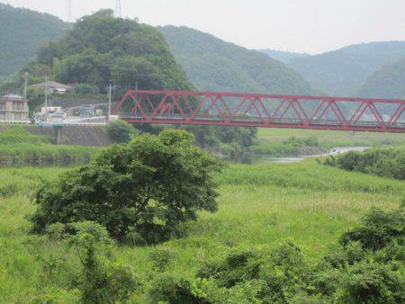 狩野川(狩野川漁業協同組合) 釣果