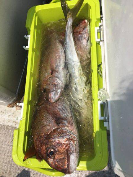 龍宮丸 釣果