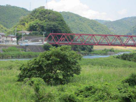狩野川(狩野川漁業協同組合) 釣果