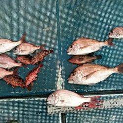 フィッシングガイド りょう 釣果