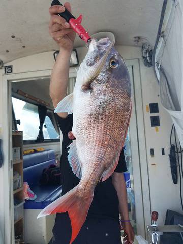 遊漁船　ニライカナイ 釣果