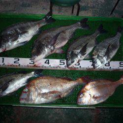 海山フィッシングセンター 釣果