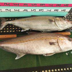 武勝丸（ぶしょうまる） 釣果