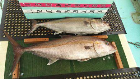 武勝丸（ぶしょうまる） 釣果