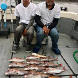 さんさん丸 釣果