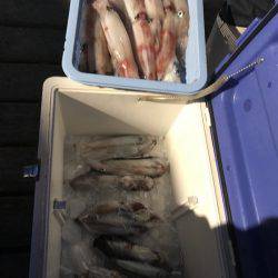 寿裕 （YOSHIHIRO） 釣果