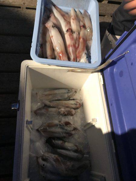 寿裕 （YOSHIHIRO） 釣果