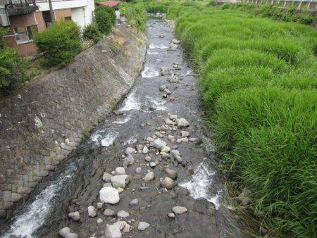 狩野川(狩野川漁業協同組合) 釣果