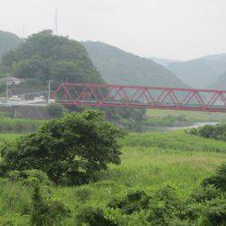 狩野川(狩野川漁業協同組合) 釣果