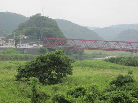 狩野川(狩野川漁業協同組合) 釣果