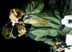 ディープ オーシャン 釣果