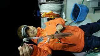 ディープ オーシャン 釣果