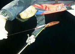 ディープ オーシャン 釣果