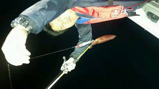 ディープ オーシャン 釣果