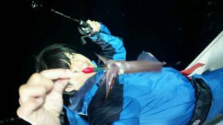 ディープ オーシャン 釣果