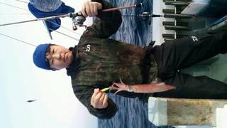 ディープ オーシャン 釣果