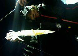 ディープ オーシャン 釣果