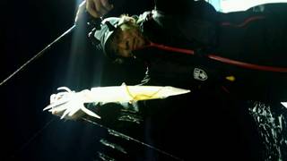 ディープ オーシャン 釣果