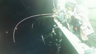 ディープ オーシャン 釣果