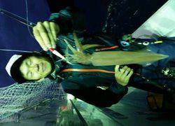 ディープ オーシャン 釣果