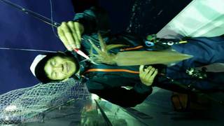 ディープ オーシャン 釣果