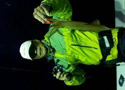 ディープ オーシャン 釣果