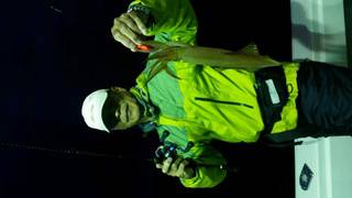 ディープ オーシャン 釣果