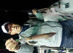 ディープ オーシャン 釣果