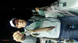 ディープ オーシャン 釣果