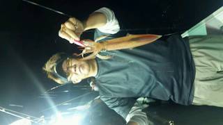 ディープ オーシャン 釣果