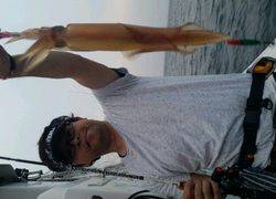 ディープ オーシャン 釣果