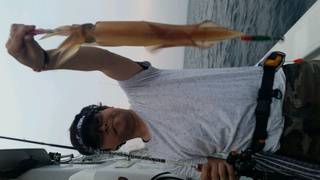 ディープ オーシャン 釣果