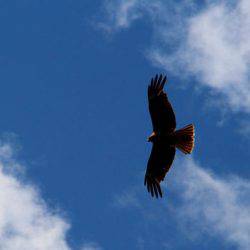 小菅トラウトガーデン 釣果