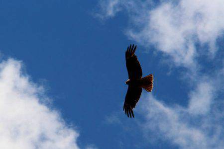 小菅トラウトガーデン 釣果