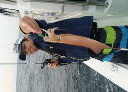 ディープ オーシャン 釣果