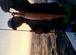 ディープ オーシャン 釣果