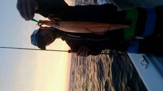 ディープ オーシャン 釣果