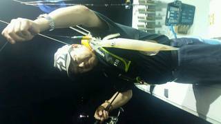 ディープ オーシャン 釣果