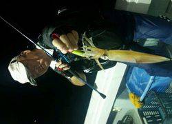 ディープ オーシャン 釣果