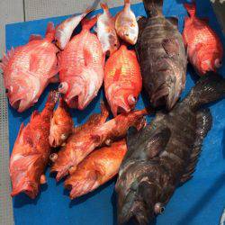 Blue.win 海人丸 釣果