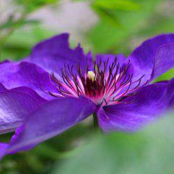 小菅トラウトガーデン 釣果