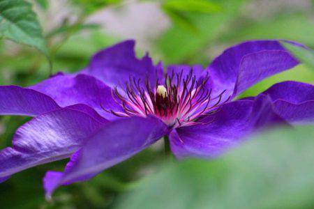 小菅トラウトガーデン 釣果