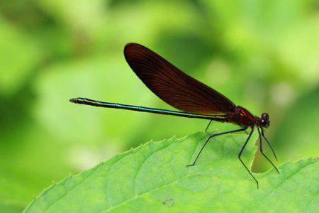小菅トラウトガーデン 釣果