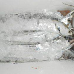 こうゆう丸 釣果