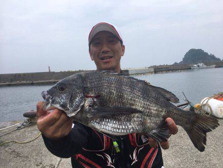 由良渡船 釣果