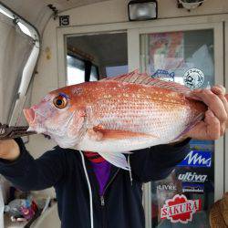 遊漁船　ニライカナイ 釣果