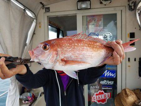 遊漁船　ニライカナイ 釣果